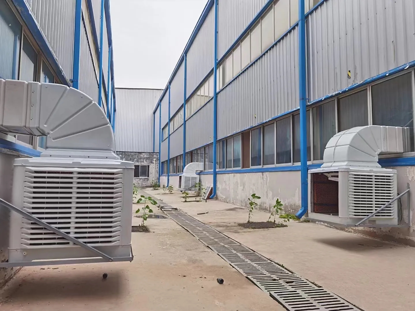 1d9dc5abd1fca988024707aebf772e0c_-687198152_1116376966_22690932